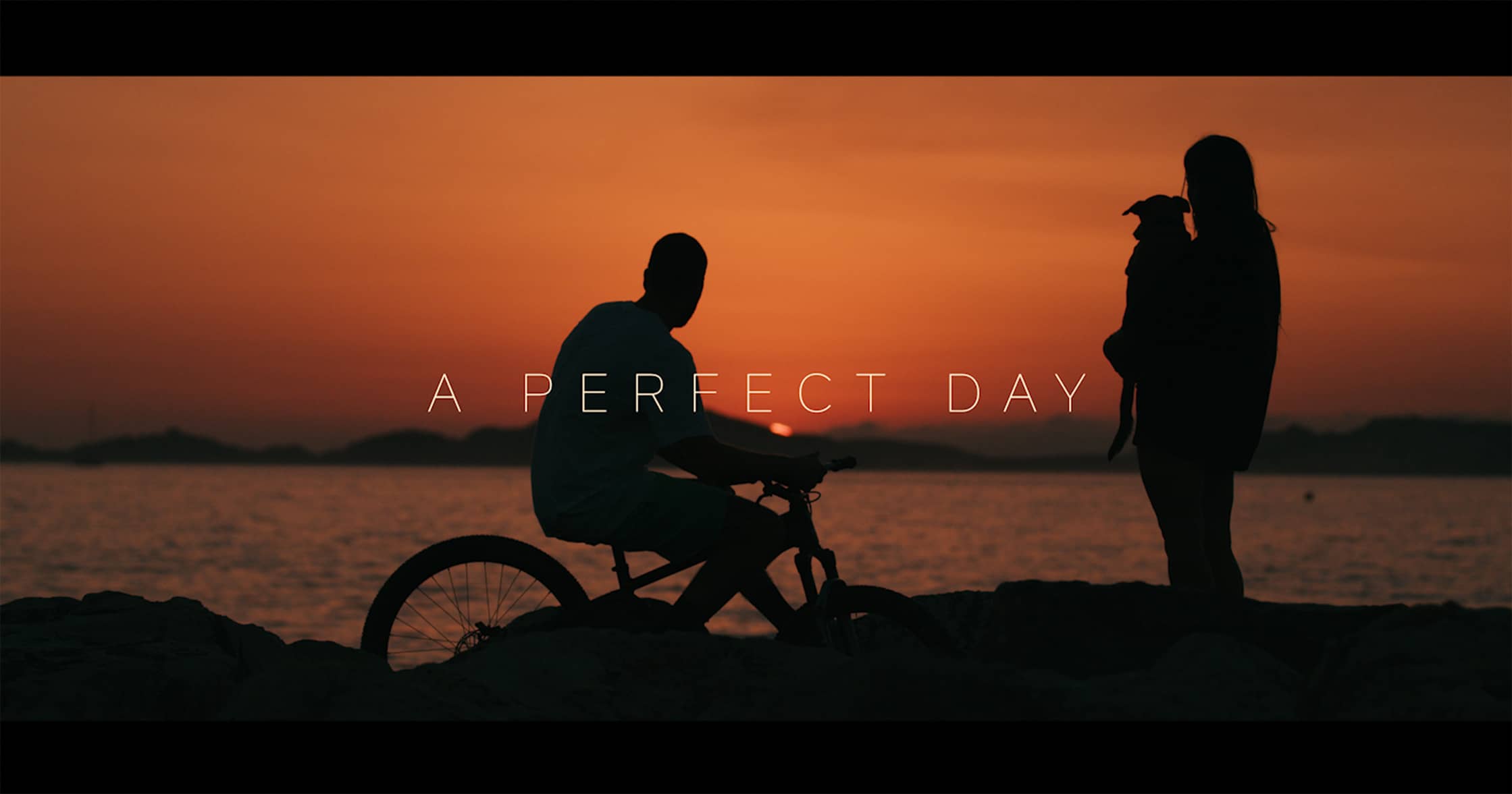 Perfect Day