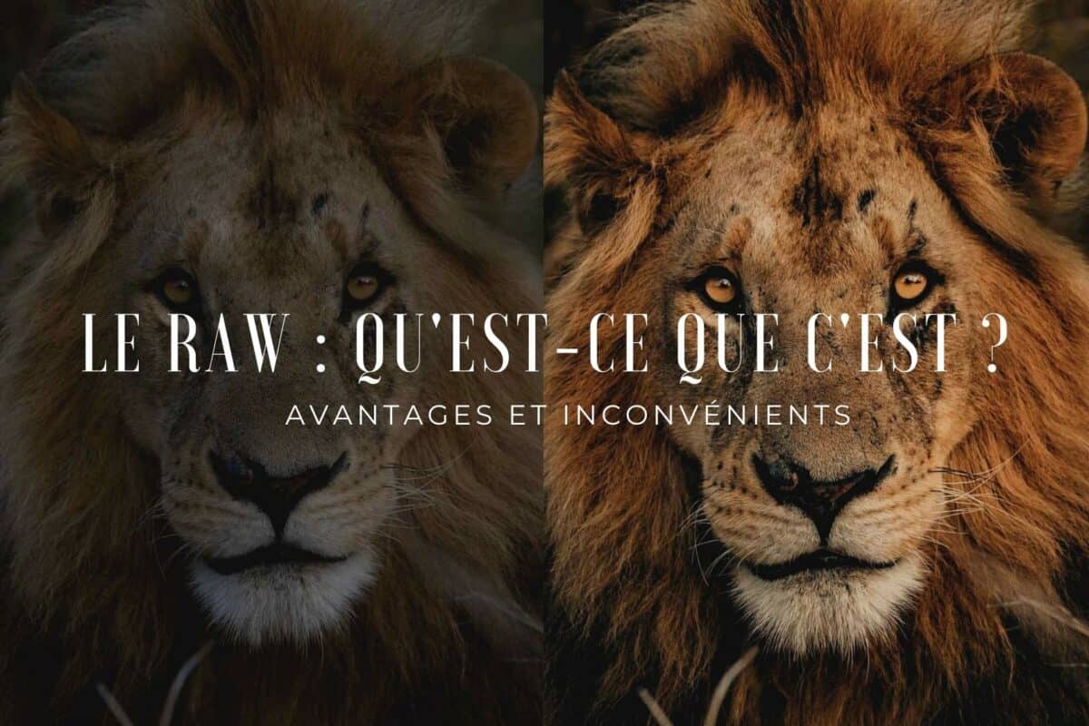 Le raw en photographie