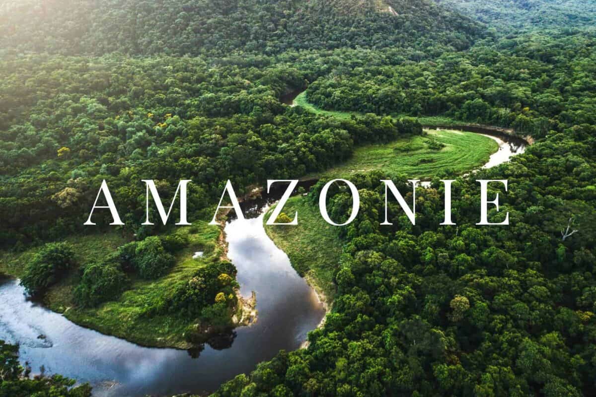 workshop amazonie 1