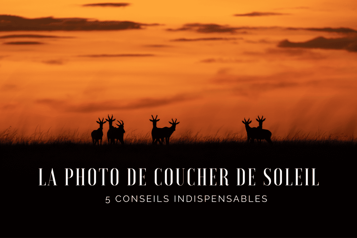 photo de coucher de soleil