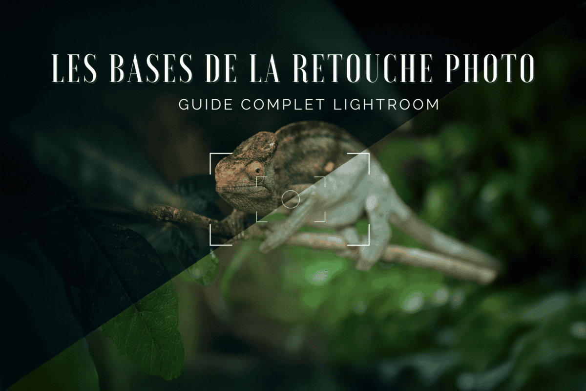 retouche photo