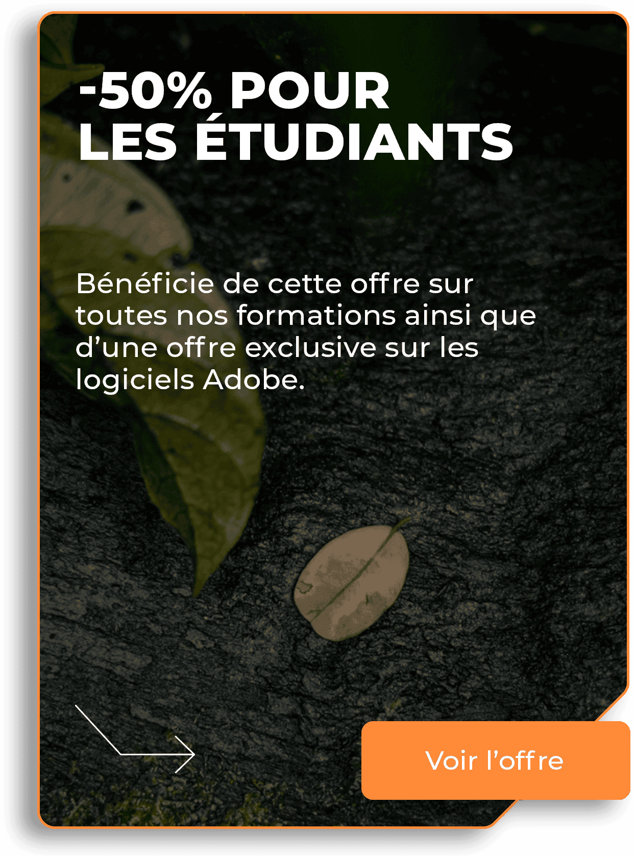 Offre étudiante