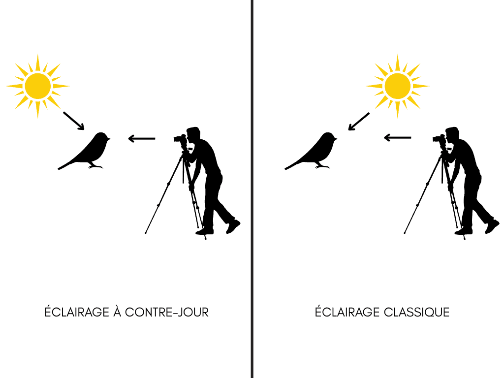 support articles blog 5.png