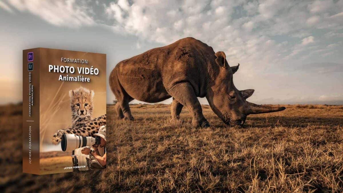 animaliervf